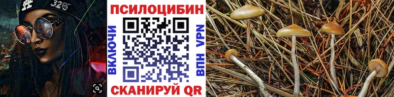 Псилоцибиновые грибы прущие грибы  Невьянск 